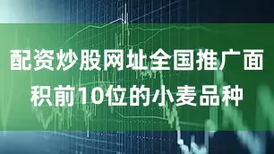 配资炒股网址全国推广面积前10位的小麦品种