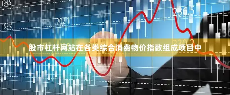 股市杠杆网站在各类综合消费物价指数组成项目中