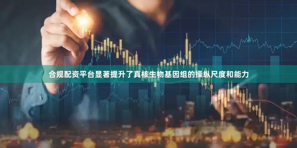 合规配资平台显著提升了真核生物基因组的操纵尺度和能力