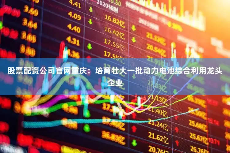 股票配资公司官网重庆：培育壮大一批动力电池综合利用龙头企业